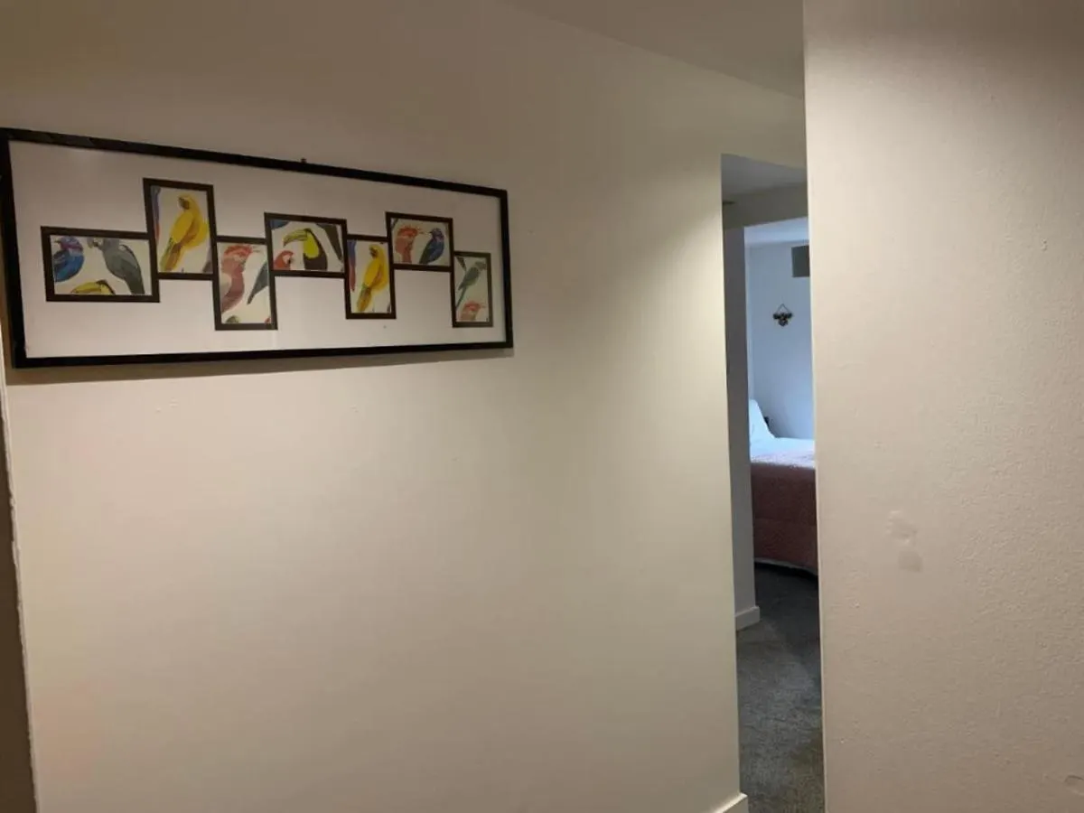 Drummond Condo EDI